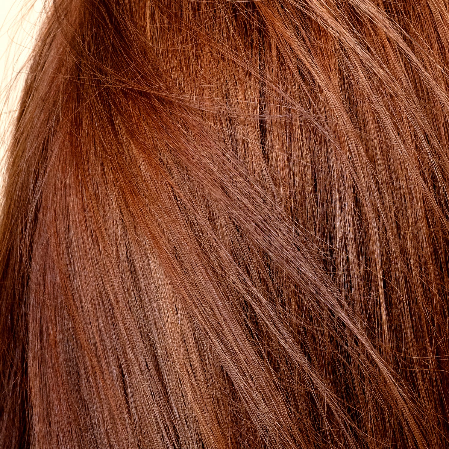 Brilliance Boost Shine & Repair At-Home Gloss Treatment