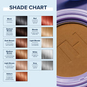 Color & Conceal + Root & Scalp Cover Up Kit
