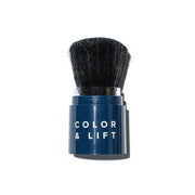 Color & Lift Replacement Brush